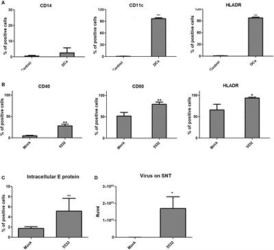 Characterization of Dendritic Cell-Derived Extracellular Vesicles During Dengue Virus Infection